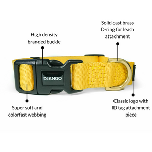 DJANGO Adventure Dog Collar in Dandelion Yellow - Modern, durable, and stylish collar for small and medium dogs and puppies with solid cast brass hardware - djangobrand.com