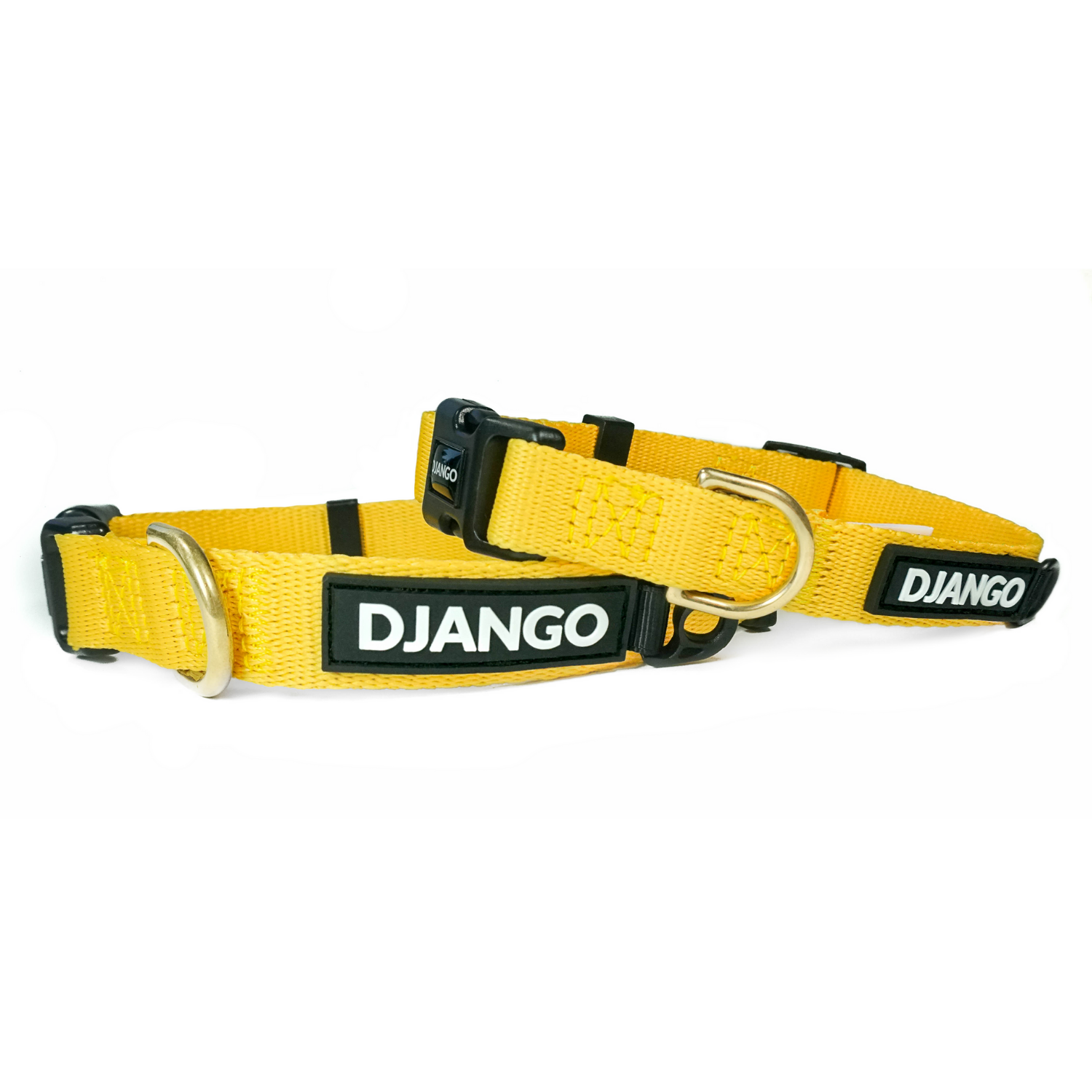 DJANGO Adventure Dog Collar in Dandelion Yellow - Modern, durable, and stylish collar for small and medium dogs and puppies with solid cast brass hardware - djangobrand.com