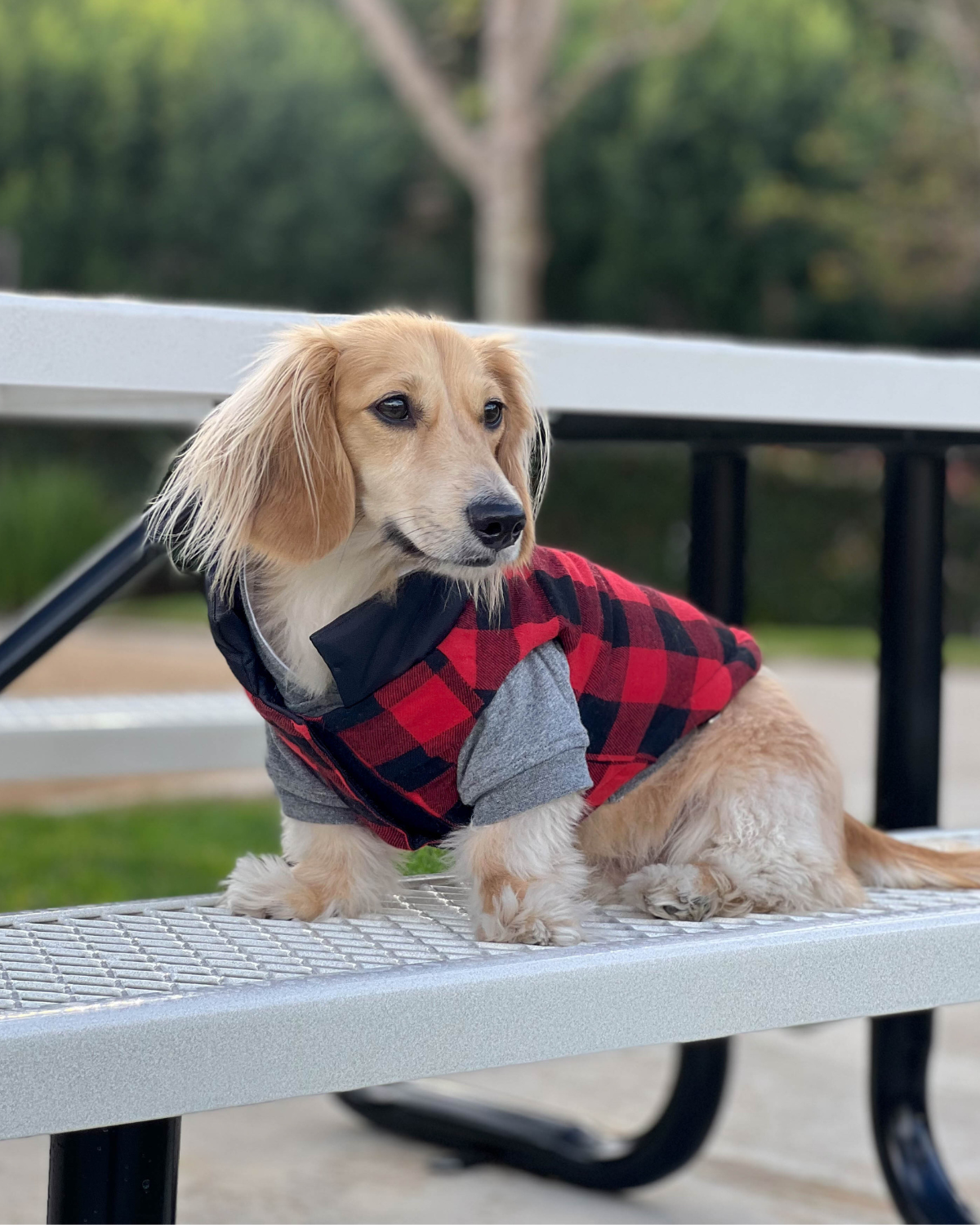 DJANGO's Reversible Puffer Dog Coat features a super cozy interior lining that can be worn facing outwards. Dog and their hoomans love the oversized armholes, adjustable hem, and spacious and easy-access leash portal - djangobrand.com