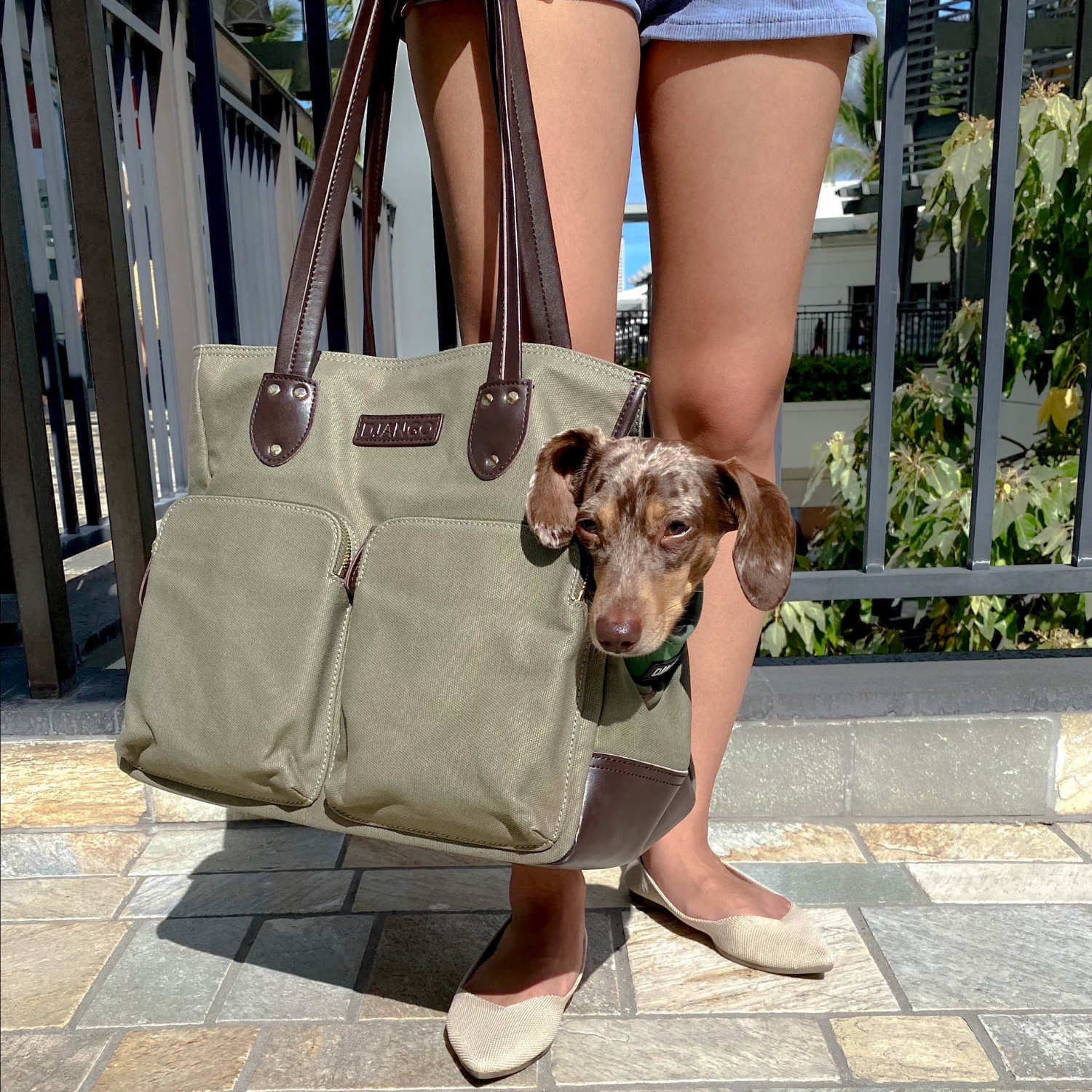 DJANGO Dog Carrier Bag - Waxed Canvas and Leather Dog Purse and Pet Tote in Olive Green - djangobrand.com