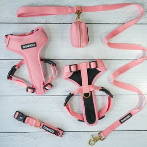 DJANGO Adventure Dog Leash in Quartz Pink – Strong, Comfortable, and Stylish Dog Leash with Solid Brass Hardware and Padded Handle - Designed for Outdoor Adventures and Everyday Use