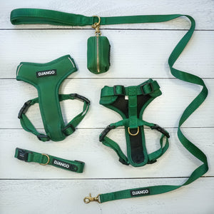 DJANGO Adventure Dog Collar in Forest Green - Modern, durable, and stylish collar for small and medium sized dogs and puppies with solid cast brass hardware - djangobrand.com