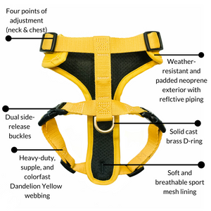Django Adventure Dog Harness - Comfortable Neoprene Everyday and Weather-Resistent Dog Harness in Dandelion Yellow - djangobrand.com