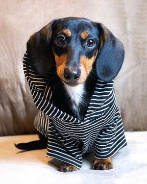 DJANGO Dog Hoodie in Black and White Stripes - Super soft, stretchy, and cozy dog sweater for puppies, small dogs, and medium dogs. Featuring a lined hood and elastic waist band. Machine washable - djangobrand.com