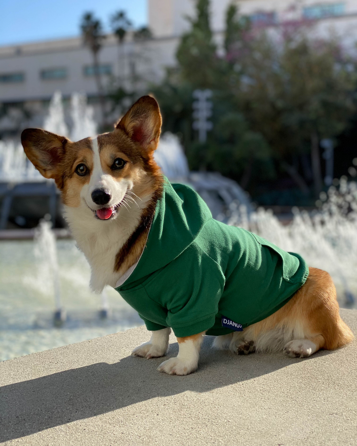 DJANGO Dog Hoodie in Forest Green - Super soft and stretchy dog hoodies and sweaters - djangobrand.com
