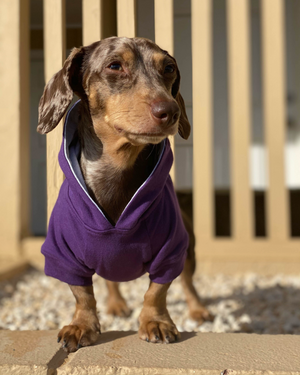 Designed for warmth, comfort, and function, DJANGO's Royal Purple dog hoodies are fully lined and have a reinforced leash portal, a stretchy elastic waistband, and a back pocket. DJANGO dog hoodies are also perfect for layering. Consider pairing your hoodie with your Reversible Puffer Dog Coat or City Slicker All-Weather Dog Jacket during the coldest winter months.- djangobrand.com