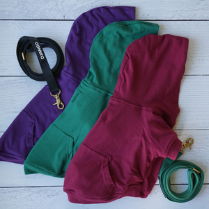 DJANGO Dog Hoodie in Forest Green - Super soft and stretchy dog hoodies and sweaters - djangobrand.com