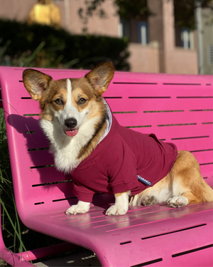 DJANGO Dog Hoodie in Burgundy Red - Super soft and stretchy dog hoodies and sweaters - djangobrand.com