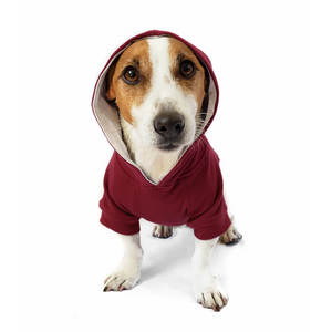 DJANGO Dog Hoodie in Burgundy Red - Super soft and stretchy dog hoodies and sweaters - djangobrand.com