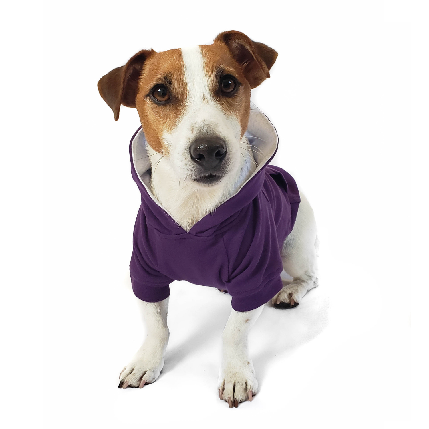 DJANGO Dog Hoodie in Royal Purple - Super soft and stretchy dog hoodies and sweaters - djangobrand.com