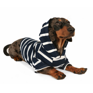 DJANGO Dog Hoodie - Navy - djangobrand.com
