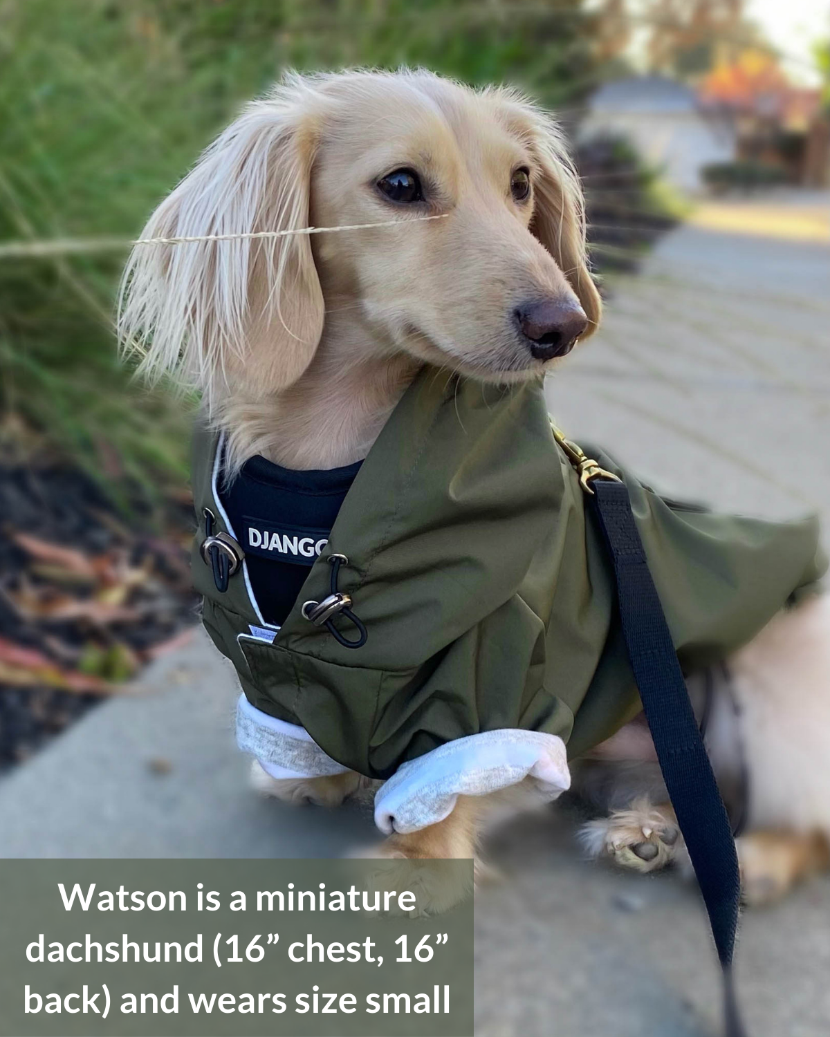 Stylish Dog Jackets: Keep Your Pup Warm and Trendy