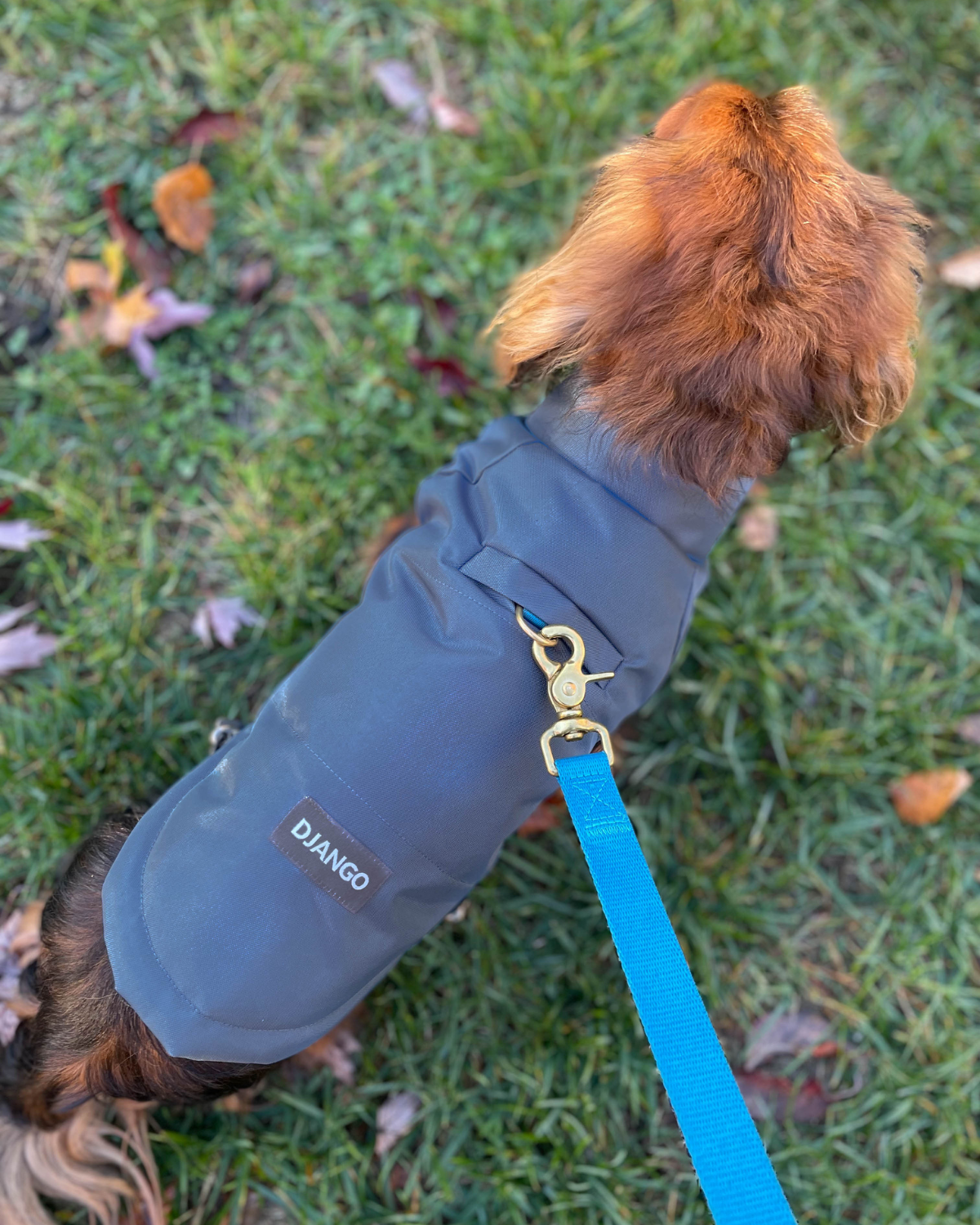 DJANGO’s popular puffer dog coat now features two elastic drawstrings. Adjust your Reversible Puffer’s hem for a custom fit around your dog’s belly and lower back. Our insulated dog coat also now features an oversized, no-leak, and easy-access leash portal that pairs perfectly with your favorite DJANGO dog harness and leash set.