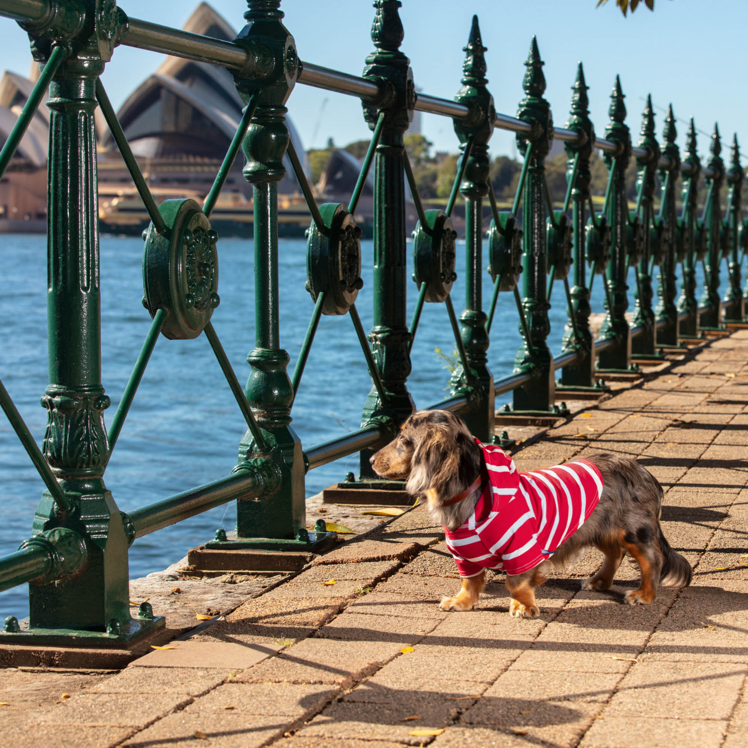 DJANGO Dog Hoodie - Red - djangobrand.com