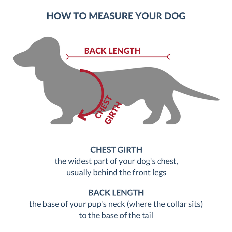 DJANGO - How to Measure Your Dog - djangobrand.com