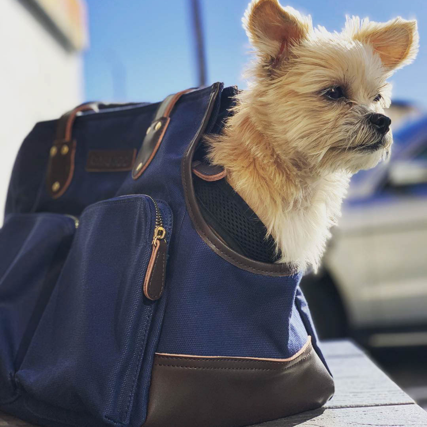 https://djangobrand.com/cdn/shop/products/DJANGO_Dog_Carry_Bag_-_Navy_Blue_Waxed_Canvas_Pet_Tote_Travel_Carrier_with_Leather_Detail_2048x.png?v=1631803426
