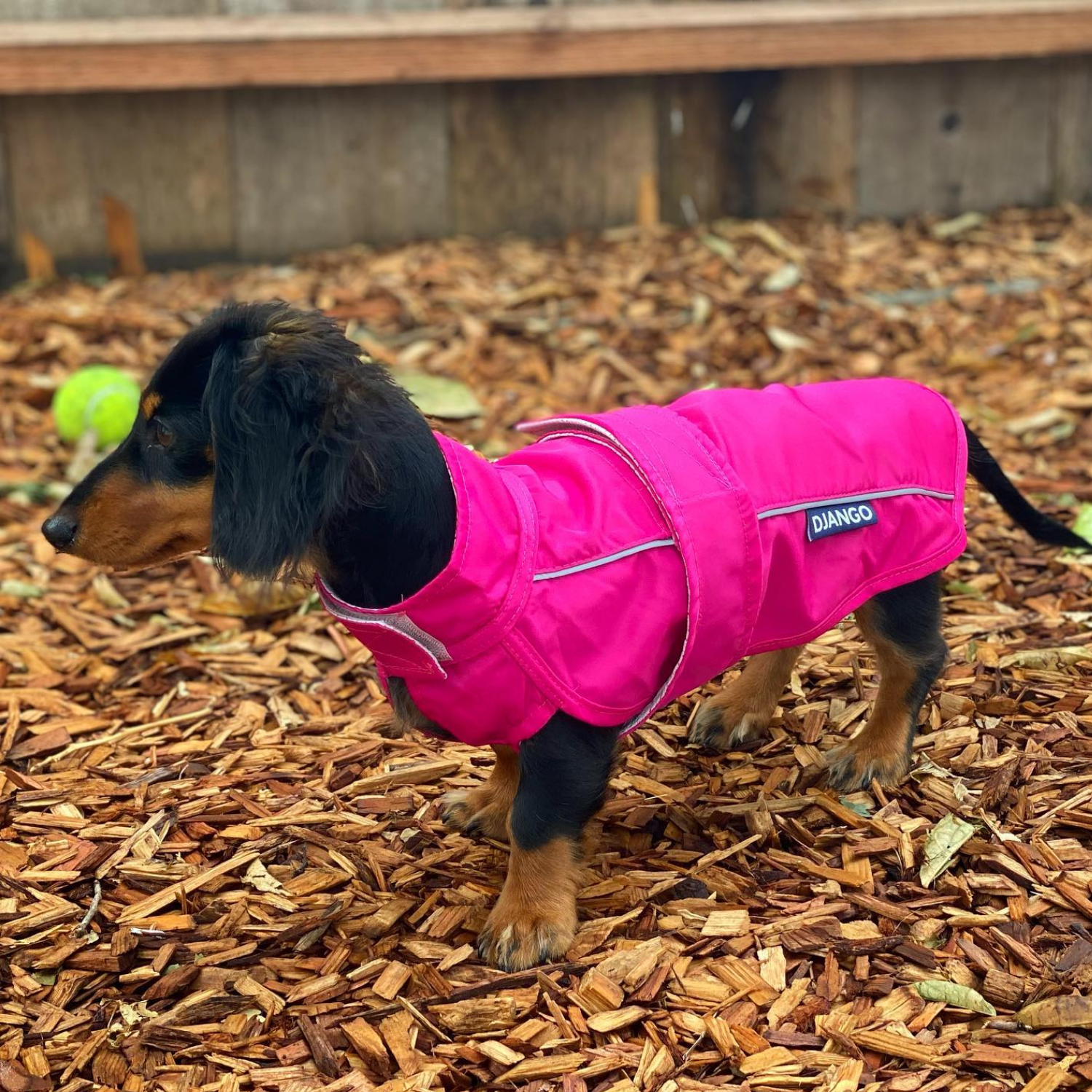 DJANGO City Slicker All-Weather Water-Repellent and Windproof Dog Jacket, Dog Raincoat and Dog Winter Coat in Cerise Pink - djangobrand.com
