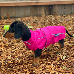 DJANGO City Slicker All-Weather Rain & Snow Dog Coat - Cerise Pink - djangobrand.com