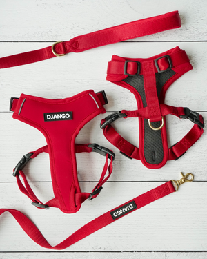 Django Adventure Dog Harness - Comfortable Neoprene Everyday and Weather-Resistent Dog Harness in Crimson Red - djangobrand.com