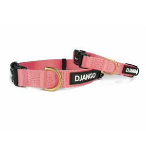 DJANGO Adventure Dog Collar in Quartz Pink - Modern, durable, and stylish collar for small and medium dogs and puppies with solid cast brass hardware - djangobrand.com