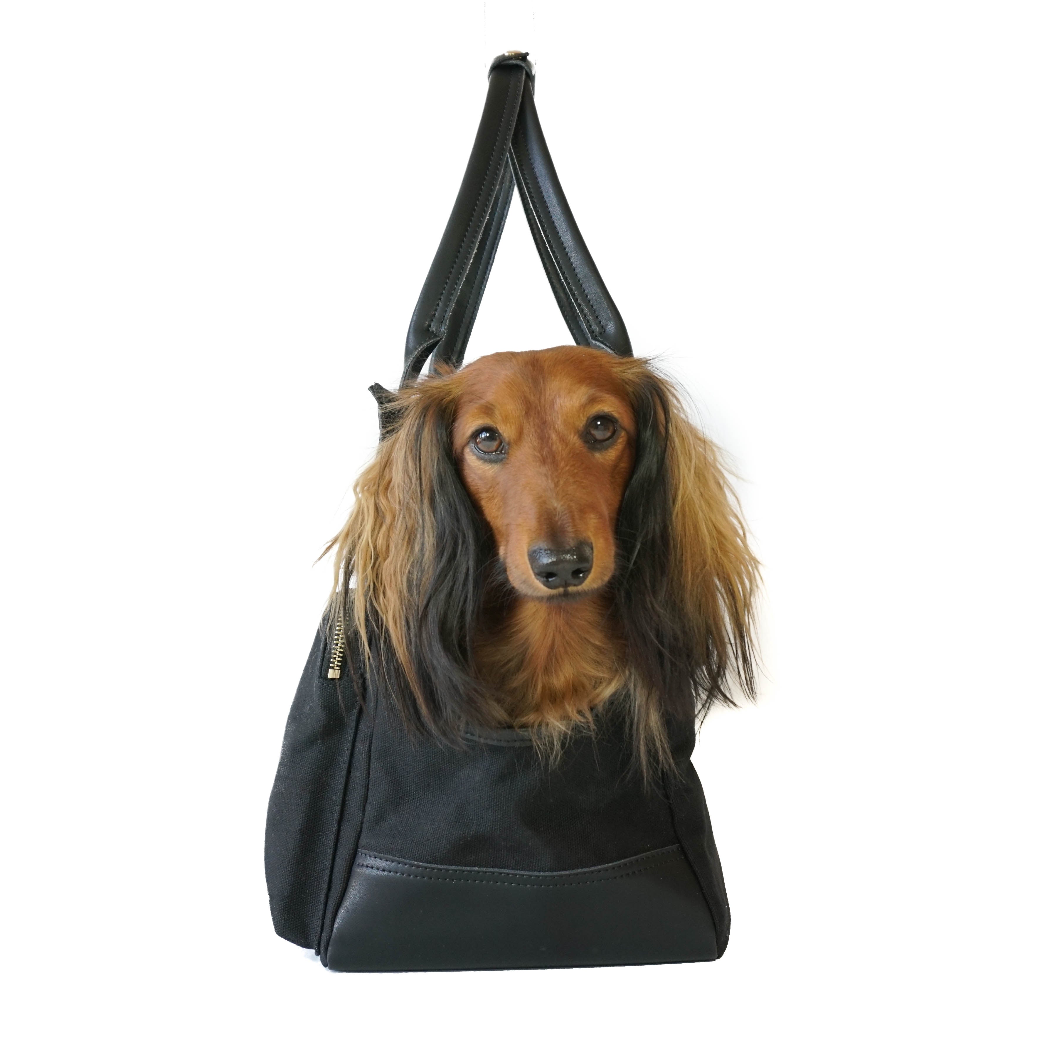 DJANGO Dog Carrier Bag - Waxed Canvas & Leather Dog Carry Bag - Black