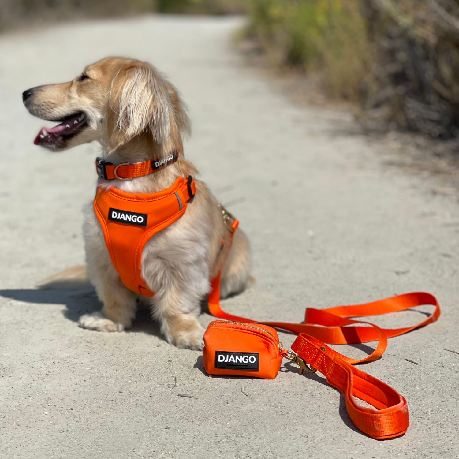 DJANGO Adventure Dog Leash in Sunset Orange – Strong, Comfortable, and Stylish Dog Leash with Solid Brass Hardware and Padded Handle - Designed for Outdoor Adventures and Everyday Use