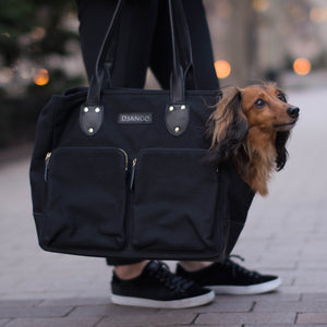 DJANGO Dog Carrier Bag - Waxed Canvas and Leather Pet Travel Tote in Black - djangobrand.com