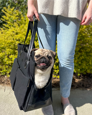 DJANGO Dog Carrier Bag - Waxed Canvas and Leather Pet Travel Tote in Black - djangobrand.com